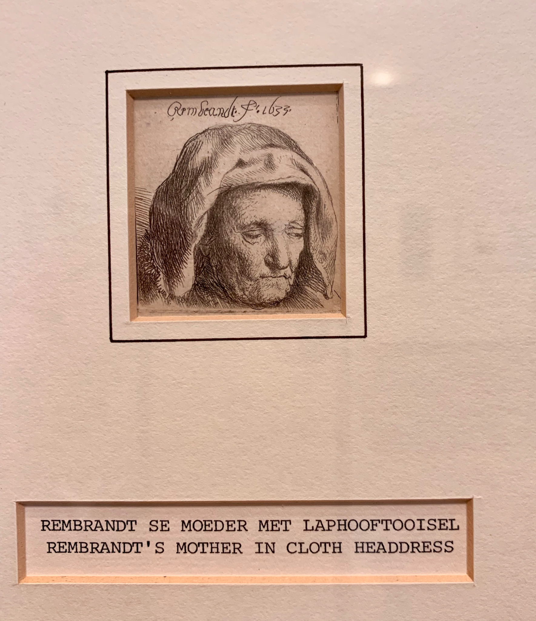 Rembrandt drawing La Motte Wine Estate